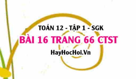 Bài 16 trang 66 Toán 12 tập 1 Chân trời sáng tạo